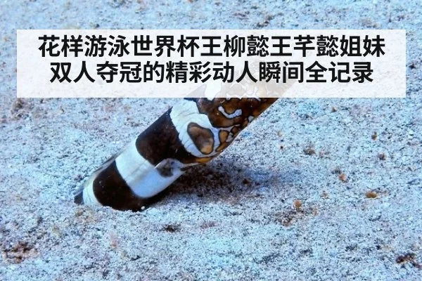 花样游泳世界杯王柳懿王芊懿姐妹双人夺冠的精彩动人瞬间全记录